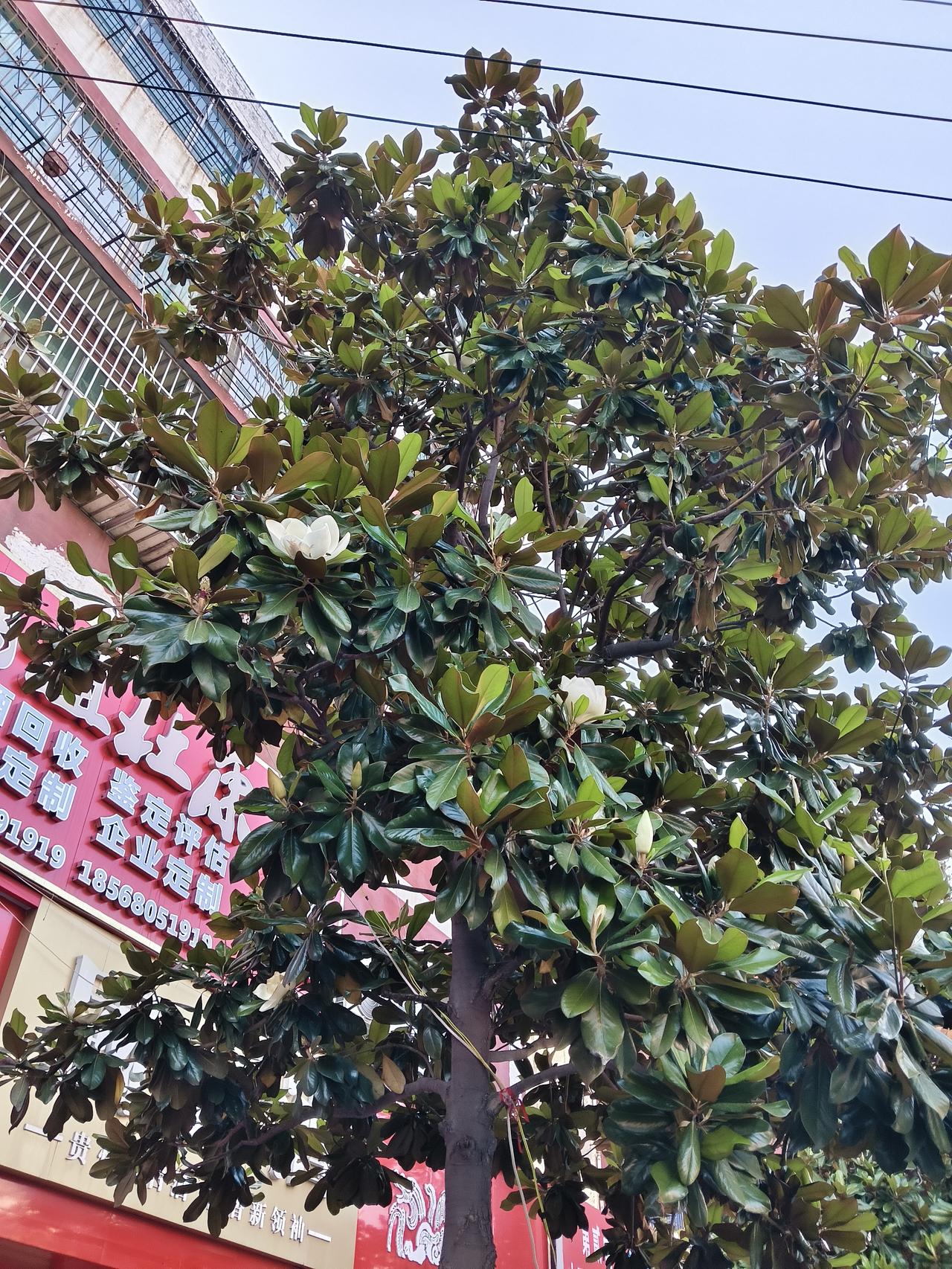 我的今日状态：😁轻松愉快
我这里的天气：☀️晴天