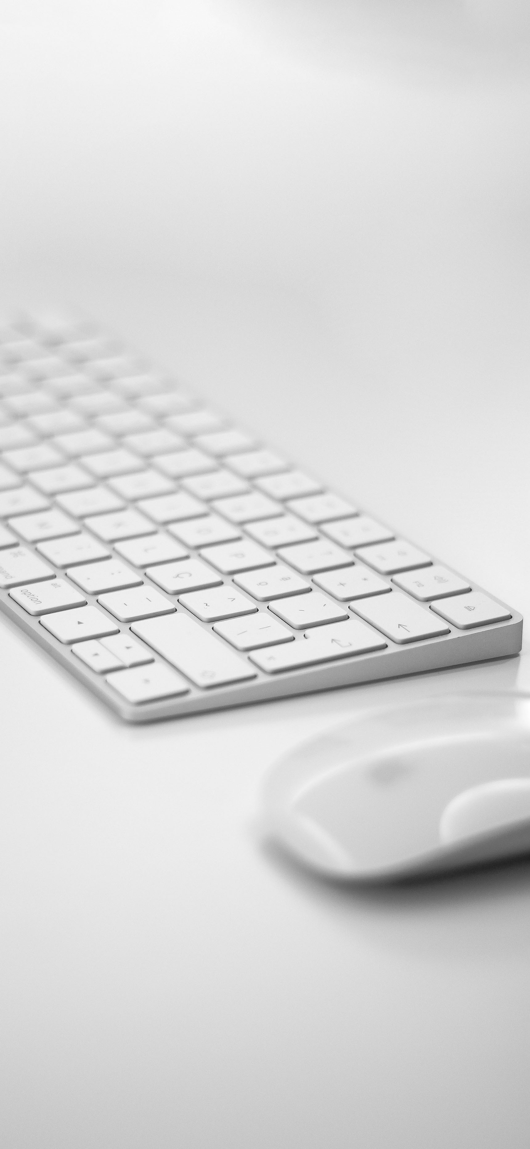 莱分享 今日 iPhone 壁纸分享 