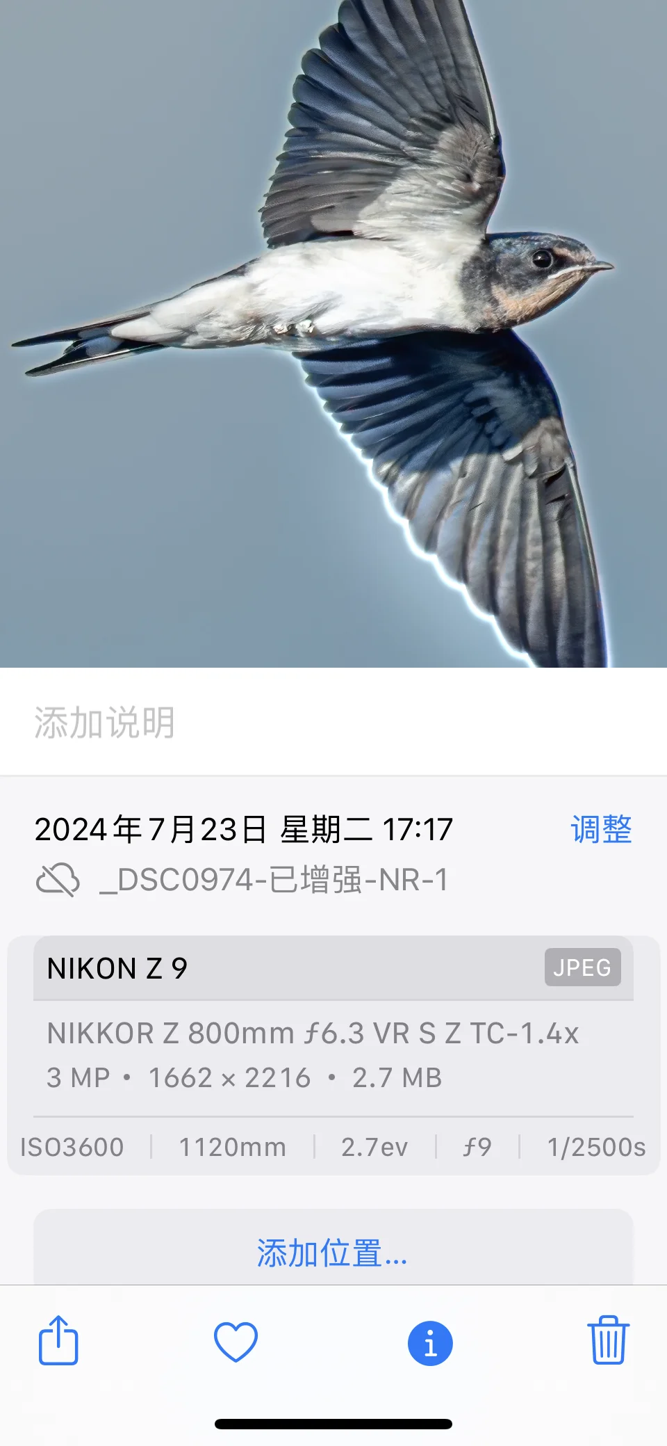 1120焦段拍飞燕怎么说