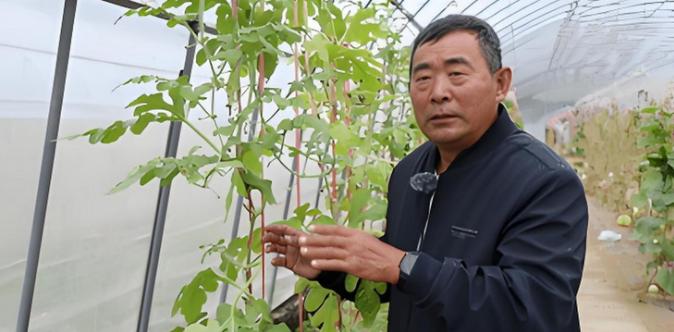一个连字都不认，没上过大学的农民，竟然攻克了难道美国、日本众多专家研究十几年都没