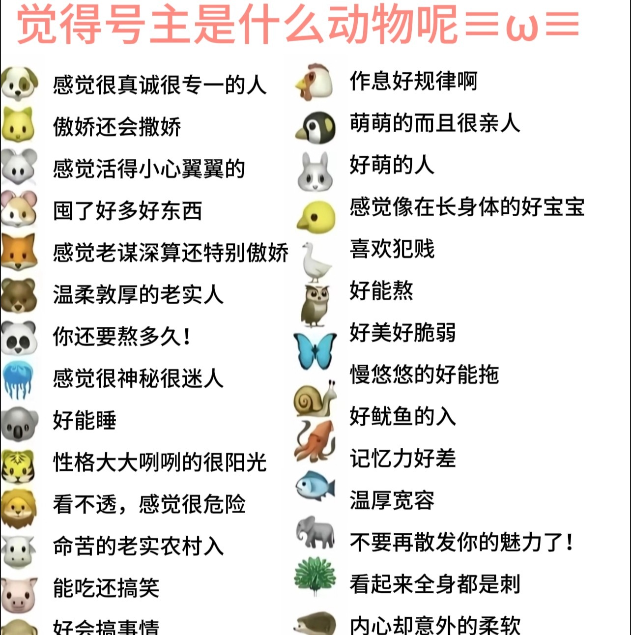 你们感觉号主是什么动物呢😋 