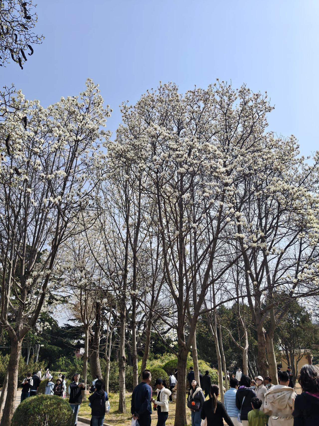 此景只应天上有，落入人间为仙境。
