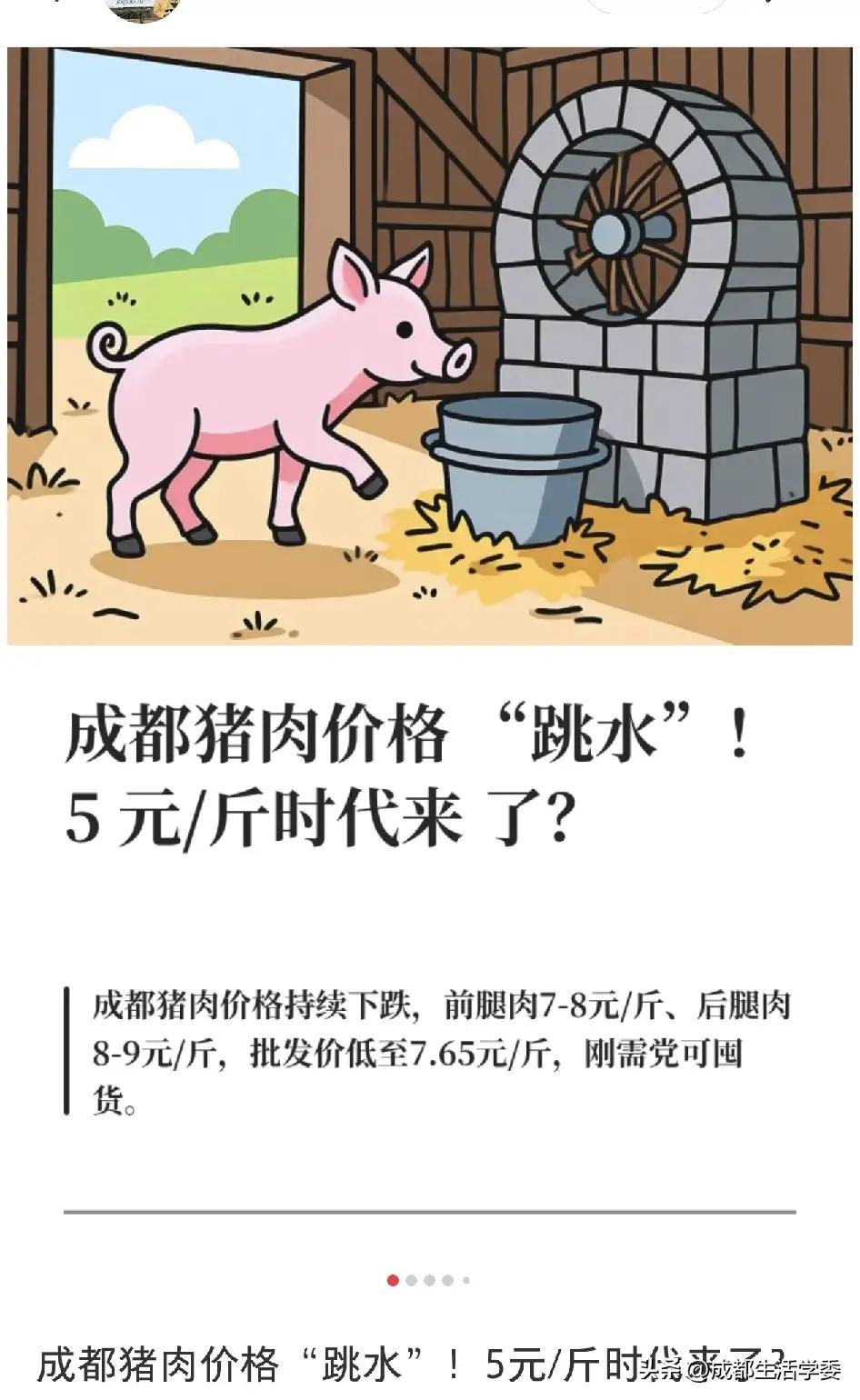 成都猪肉“白菜价”刷屏！真相很扎心：别被带节奏，囤货需冷静
前腿肉7 - 8元、