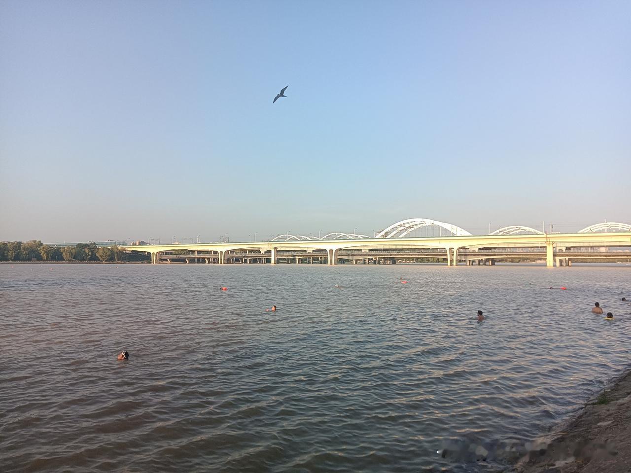 坐地铁10号线从杨官寨回来的路上打算去未央湖公园转转，结果一进大门，公园处处被大