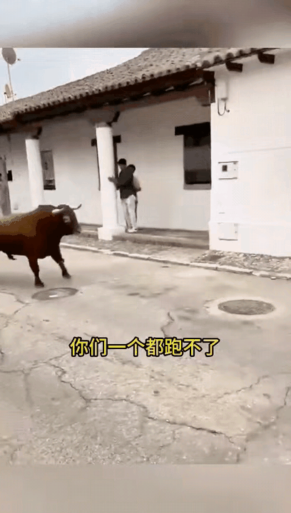 别人都在跑，你居然现在这里不动，是当我牛牛不存在吗？[灵光一闪]