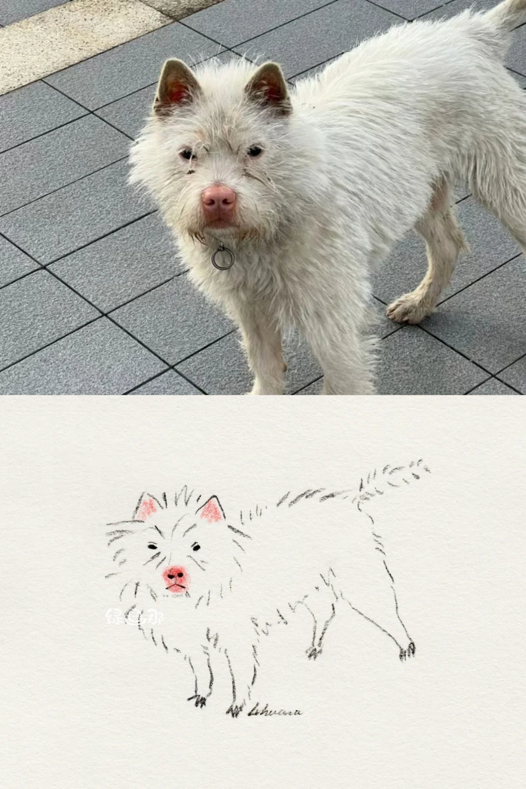 没忍住 画一张