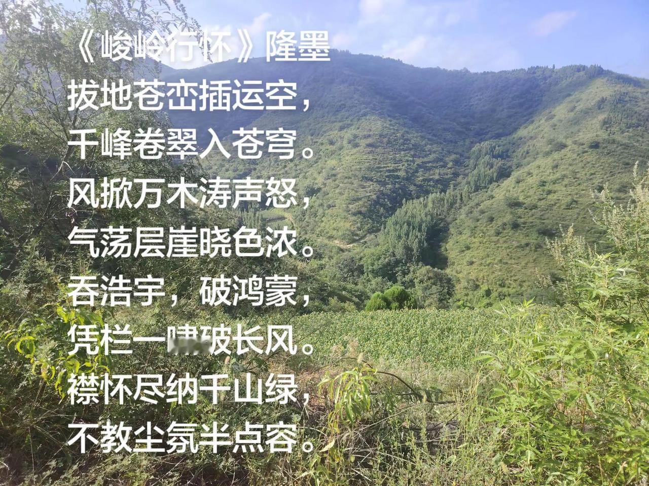 从书法品味传统文化的韵味 临帖之趣