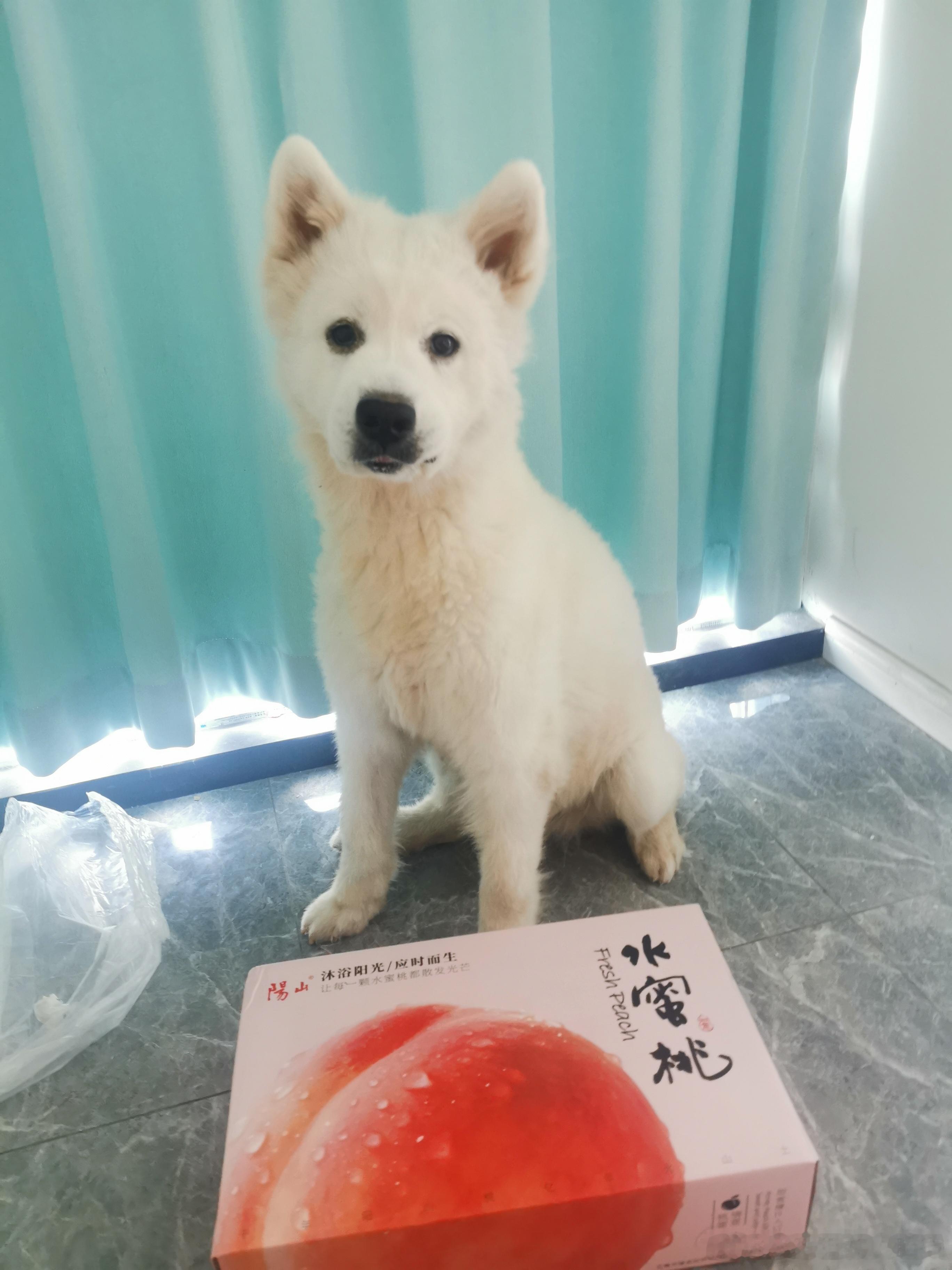 朋友寄过来的无锡特产下午拿回去给我爸，打开看了一下 完好无损 还是经历曲折的，江
