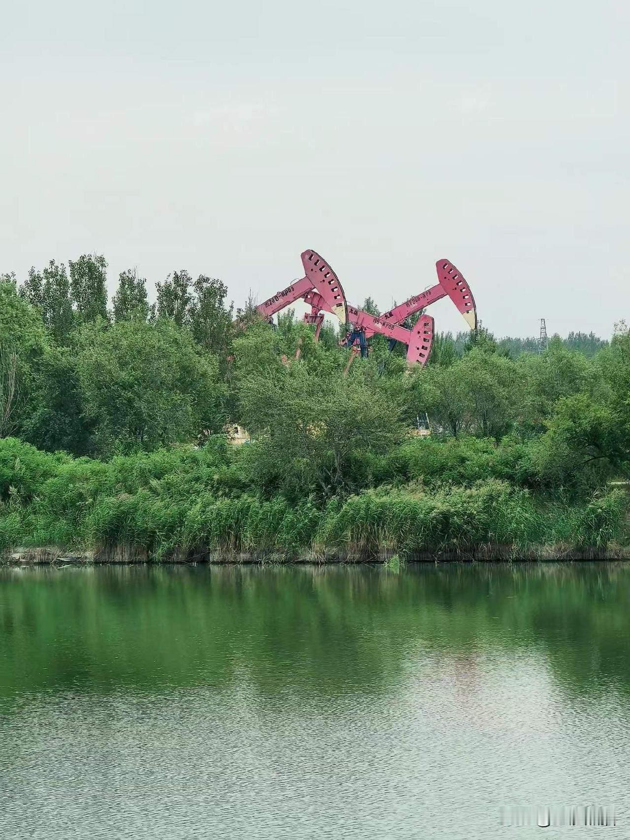 大庆“磕头机”
在果午湖近距离的观看打卡湖畔错落伫立着“磕头机”（抽油机），工业