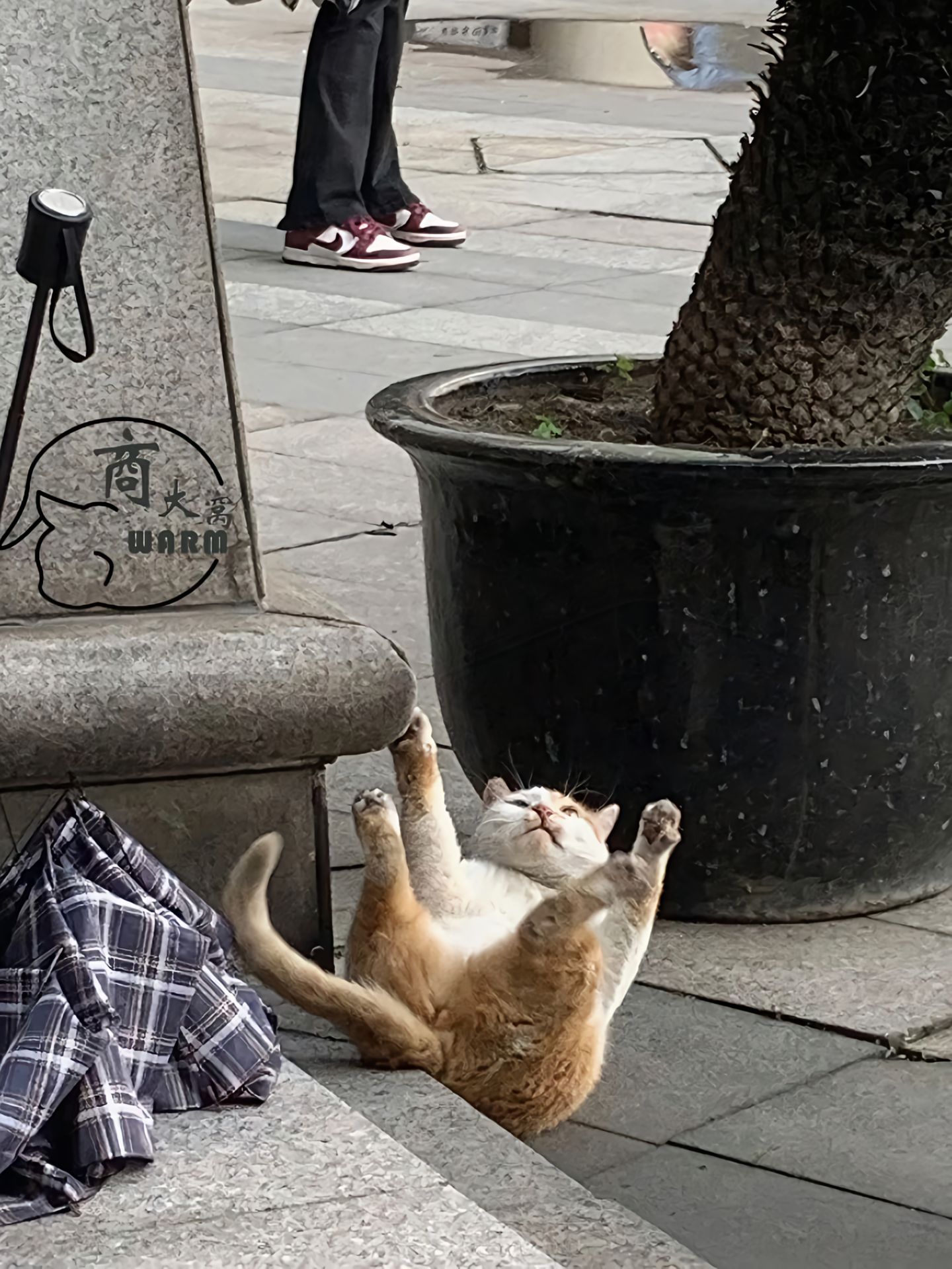 被生活击倒 ​​​