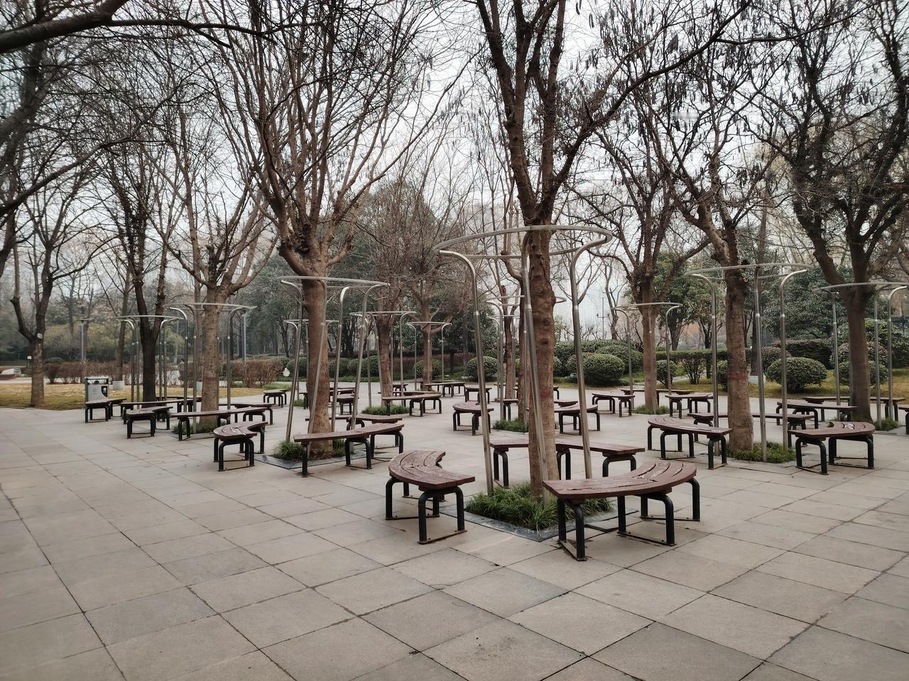 新的一年，祝愿大家都能评上高级职称。我曾听闻一位网友说，如今的职称评审十分公平，