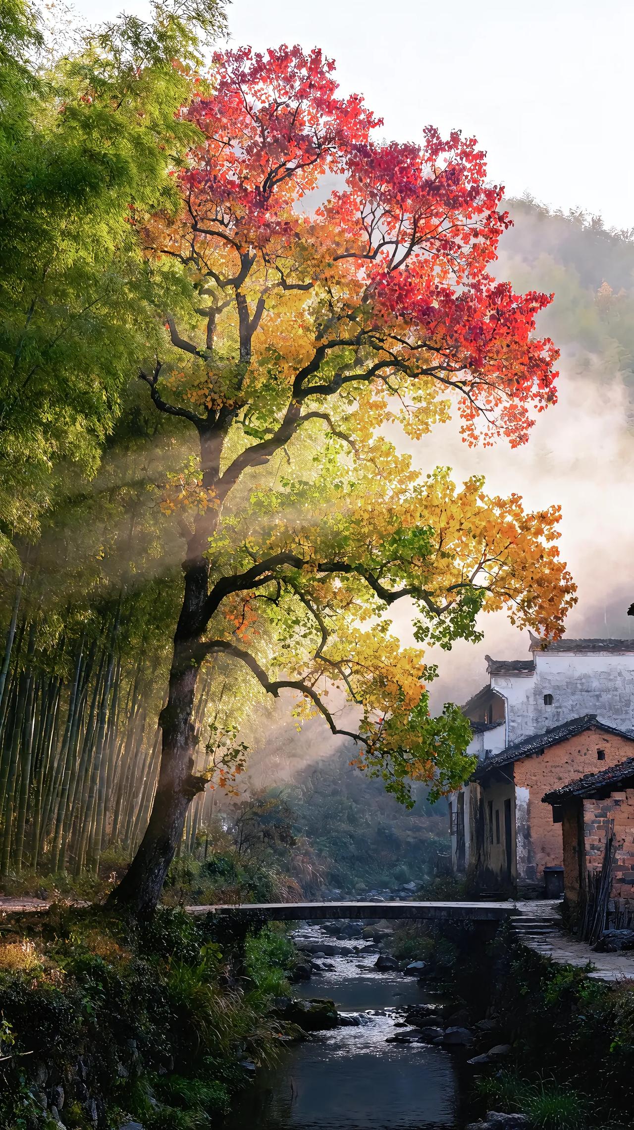 接待了一个金陵中学的孩子，孩子的爸爸是监狱系统的，孩子的妈妈是体育系统的，其实监