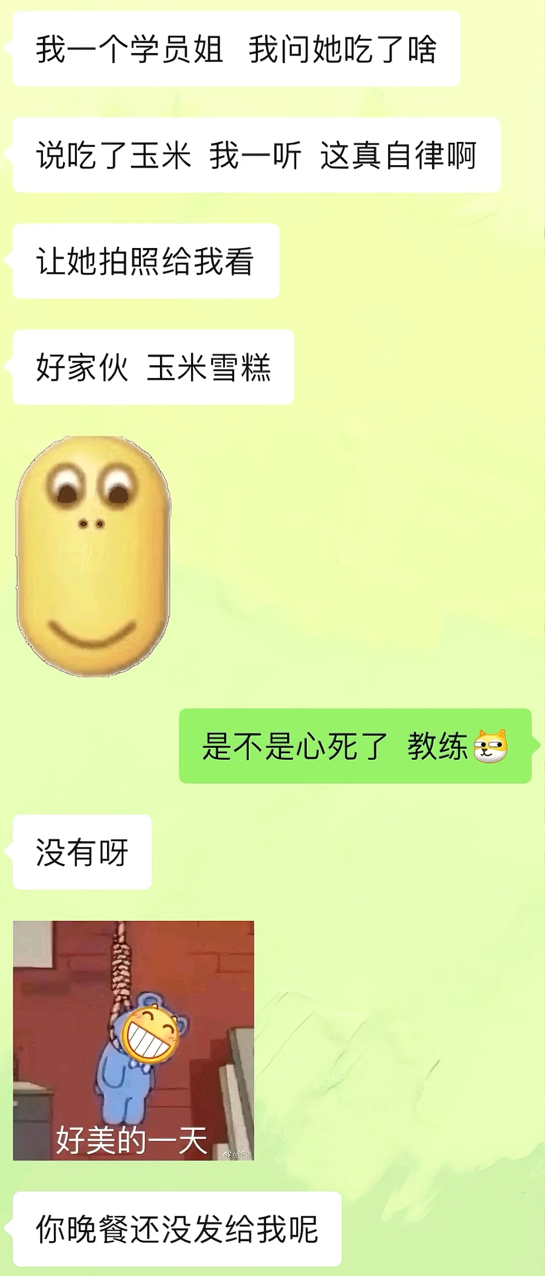 教练姐破防了……