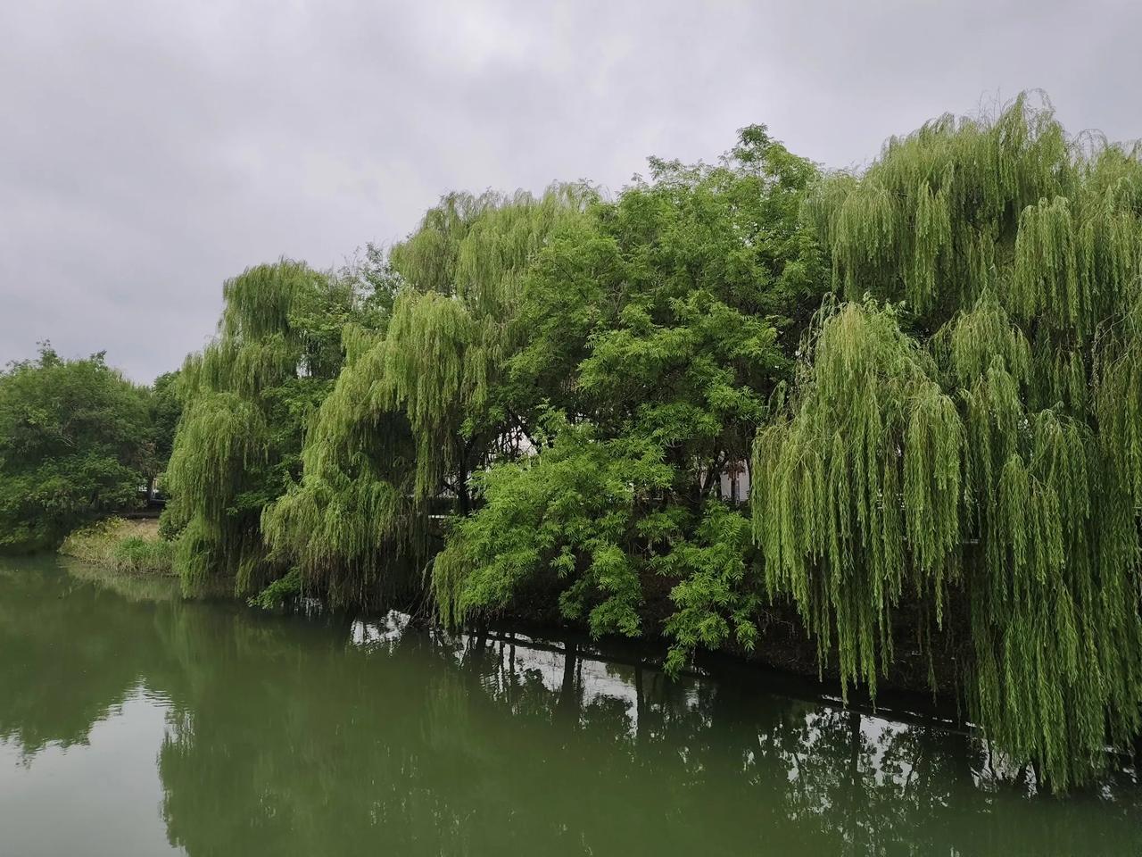 目前，进入经济通缩时期应该如何理性认识呢？
首先，认清经济形势，不能认为钱好挣，