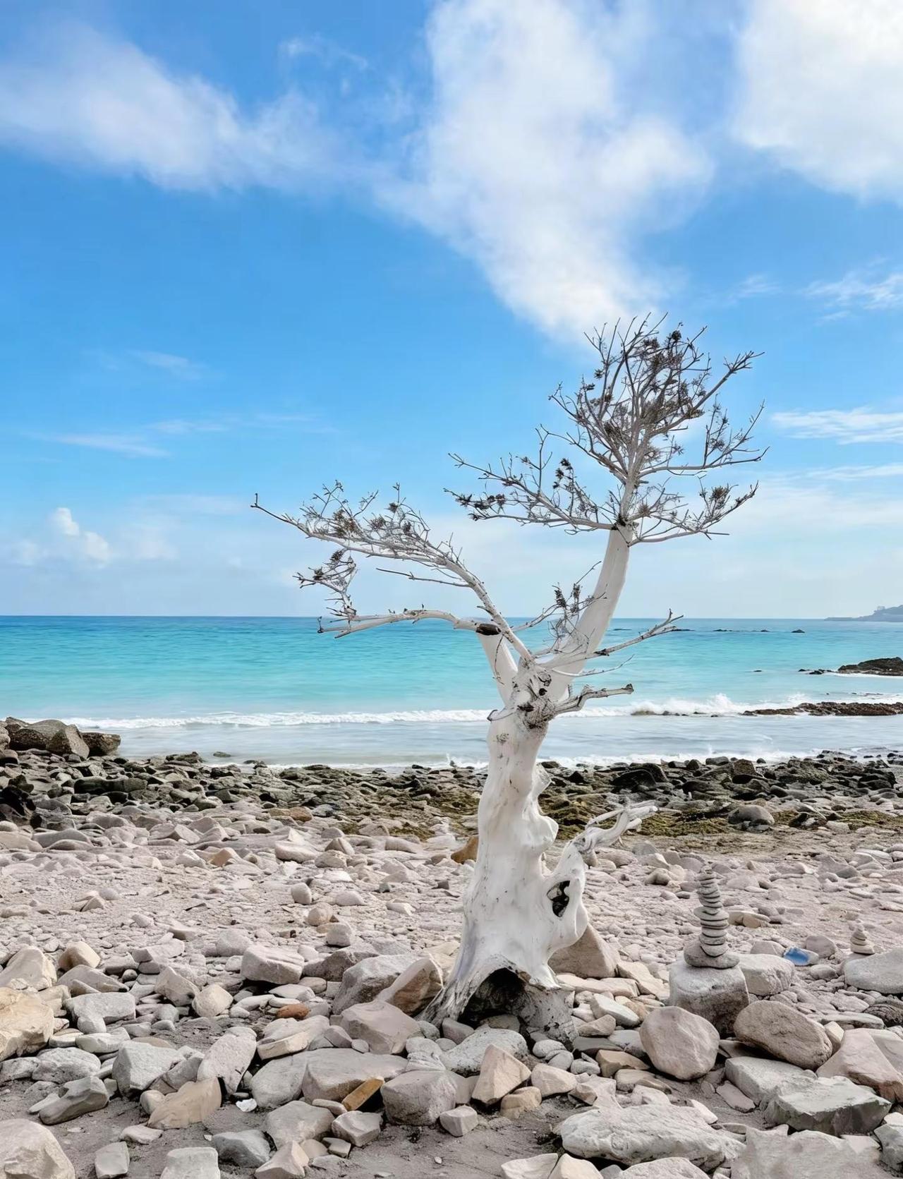 真诚不一定能换来真诚但一定能让自己心安海枯石烂 海之恋 豆包