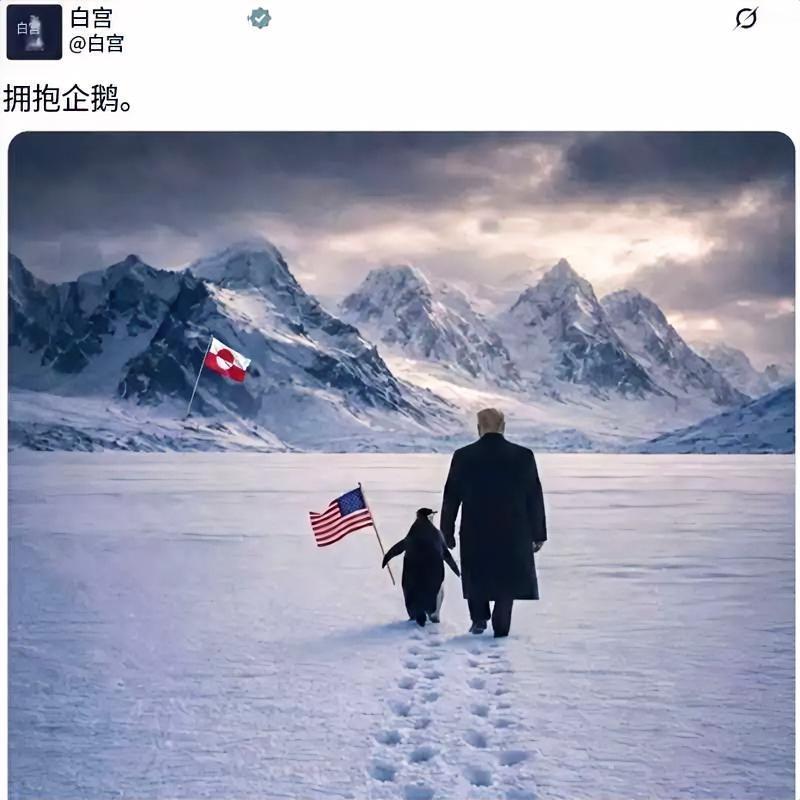 美国白宫在“X”平台上分布了一张图片，还配文“拥抱企鹅”。画面中，特朗普身着冬装
