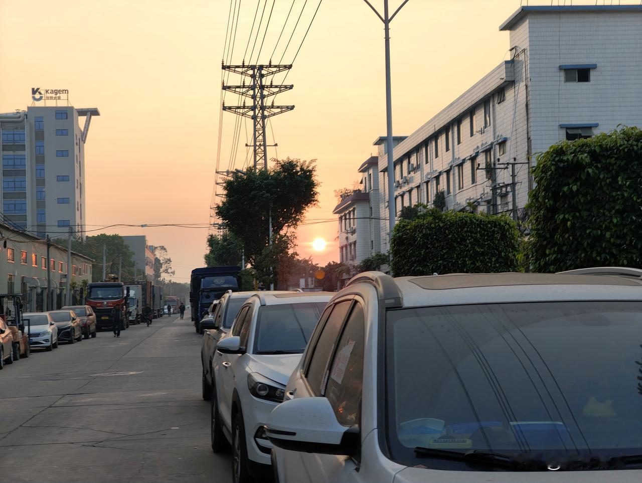 冬日生活打卡季这短时间朝阳没正对着上班路，很久没有直面朝阳了，今晨找了正对朝阳的