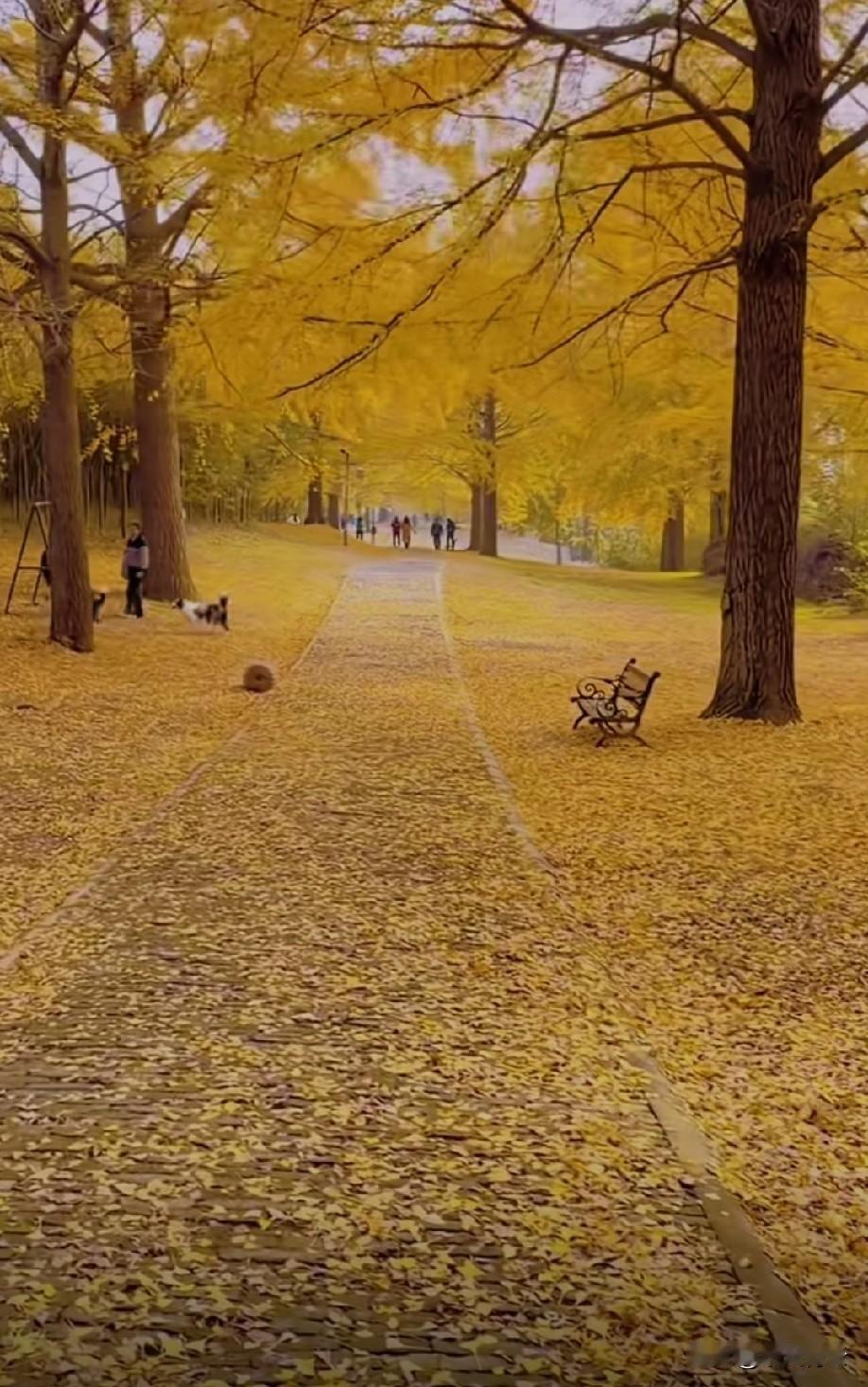 总有人盯着别人的生活啧啧称叹，羡慕人家的光鲜亮丽，转头就嫌弃自己的日子平淡。
 