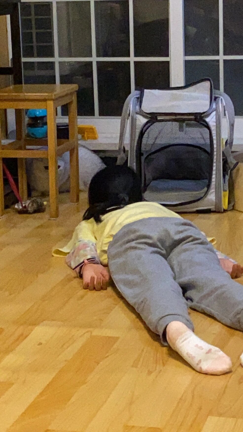 当和侄女说了不摸猫 猫就会主动过来时： ​​​