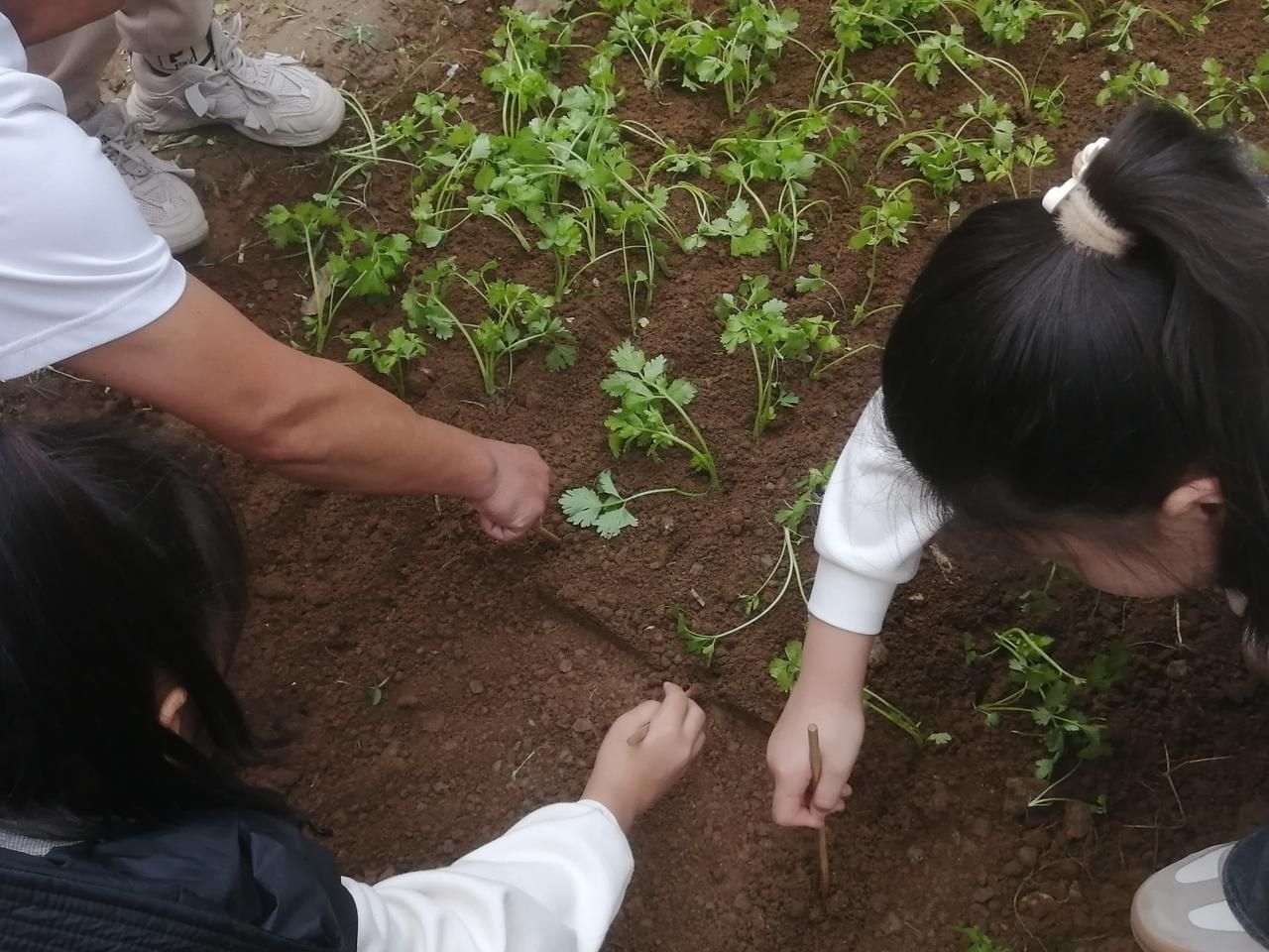 我觉得他特别爱我，很在意我的感受，我说过一句话他都会放在心上，经常给我买零食买奶