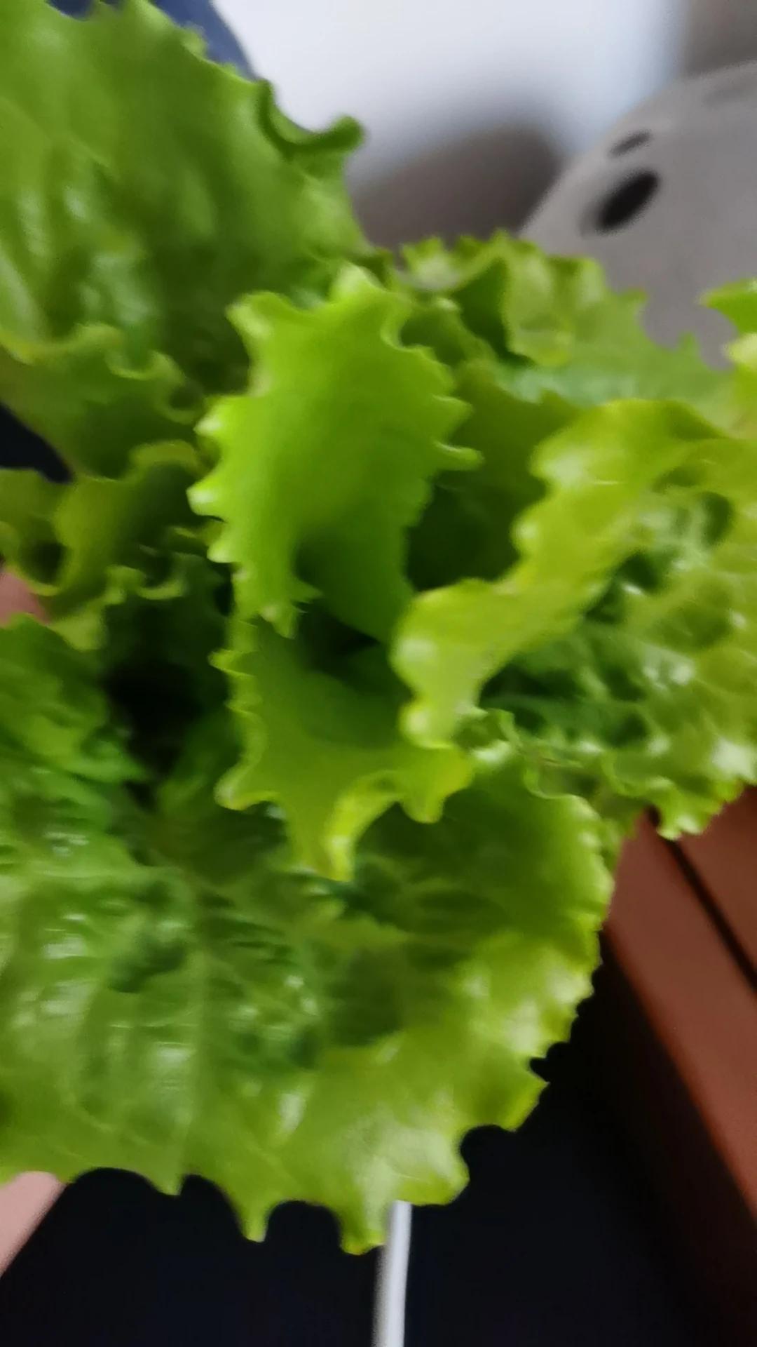 一日三餐确实不能少，早餐必须吃，这样身体才会好，午餐要丰盛，营养要高，晚餐清淡且