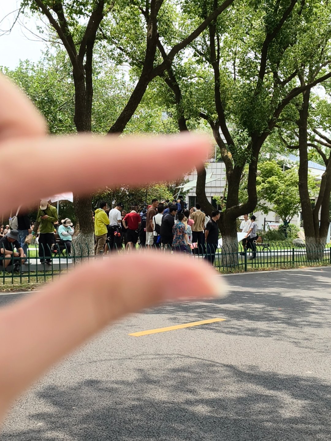 小小一个彤 