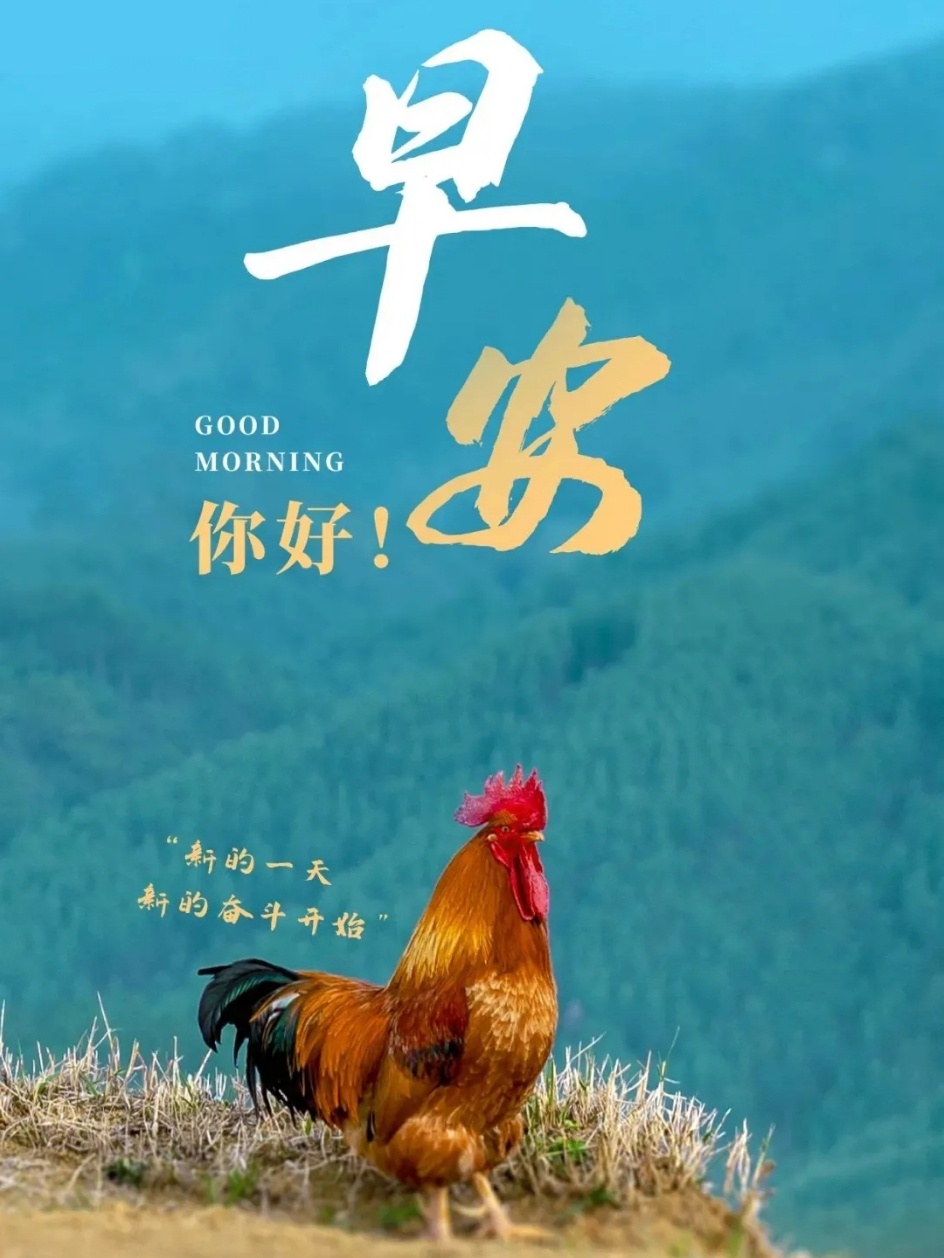 ✨ʍօʀռɨռɢ 🌸想千遍，不如做一遍，拆解目标，勇敢迈出第一步。完成大于完美