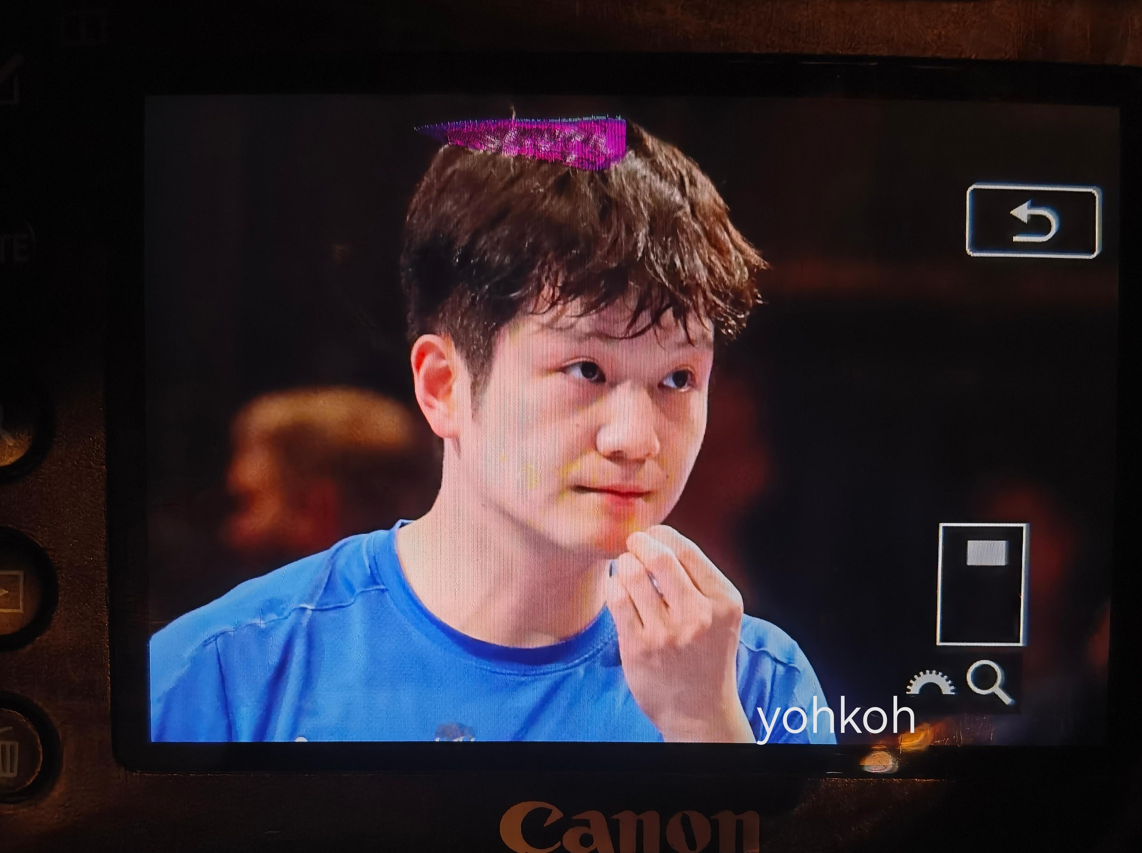 樊振东 有被乖到