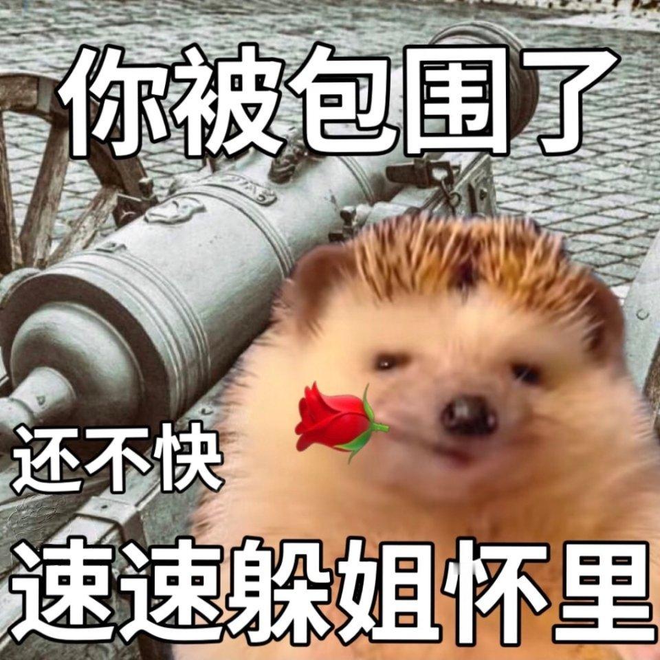 延迟幸福💙💙💙