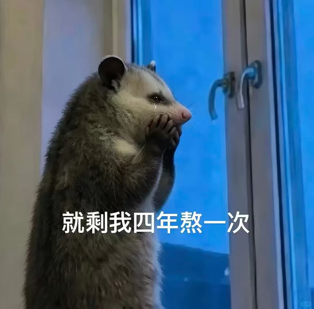 员工熬夜看世界杯可带薪补觉这届球迷员工也太幸福了吧，世界杯凌晨场看得没负担，第二
