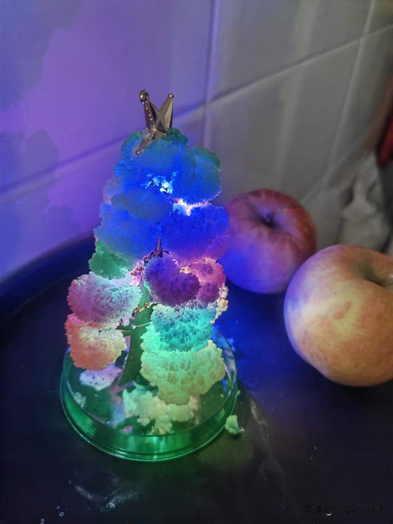 翻出了小时候超爱的魔法圣诞树玩具，本来以为还是老样子，结果浇水之后居然长出了彩虹