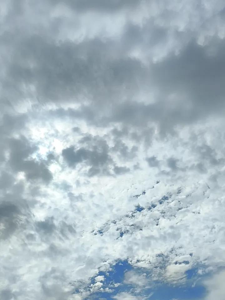 早晨下雨一天晴，8点前后下小雨，现在天空有点放晴了。
入伏前后的天气，成了秋天的