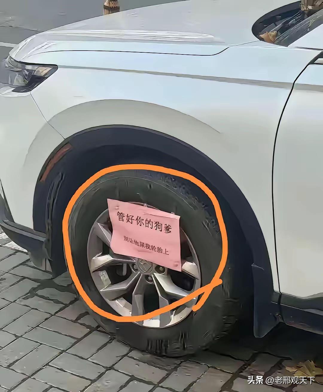 这不是一个关于狗的故事。

这是亲眼所见的真事。

看完，请回答一个问题。

昨