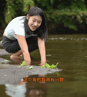 这雨不是正宗野生的，野生的鱼人靠近就跑了![捂脸]