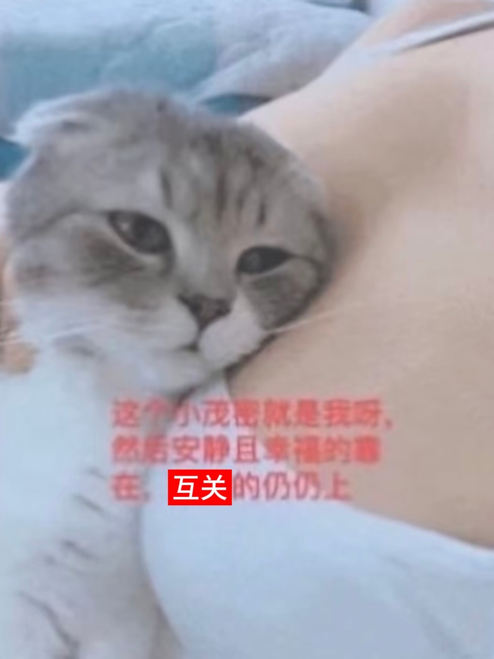 分享图片 