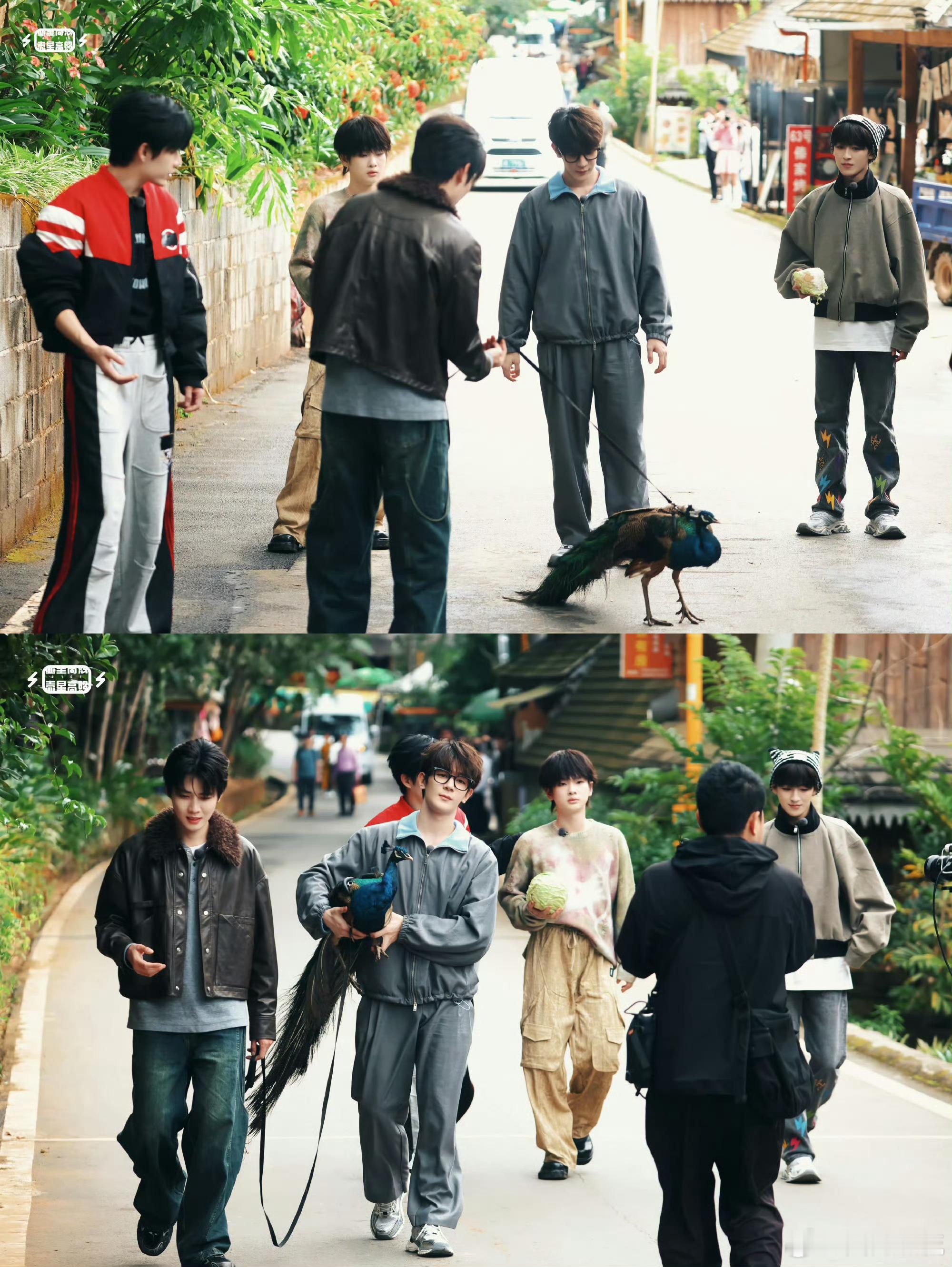 哈哈哈哈哈砍了100根甘蔗，这真的很R1SE 