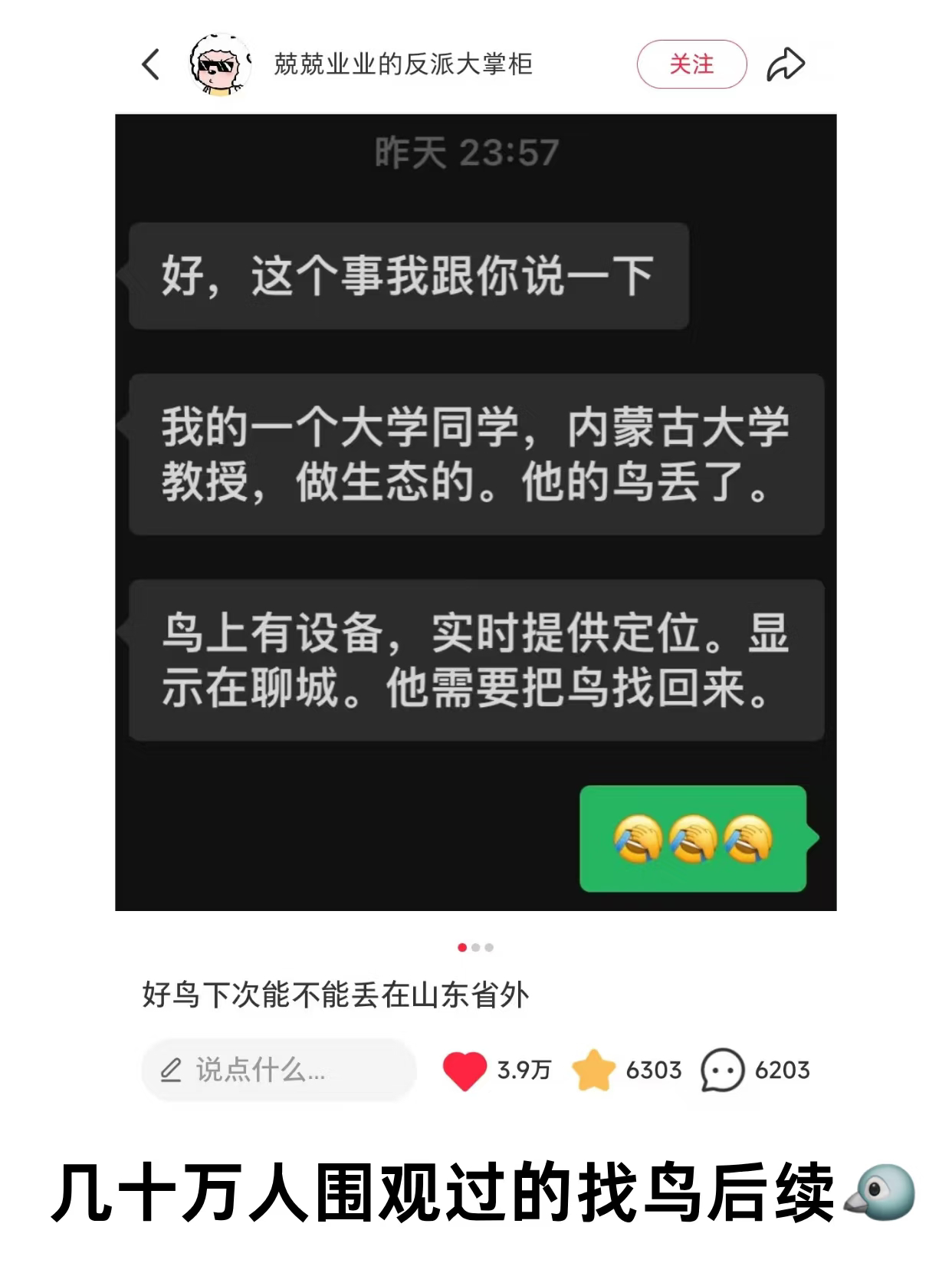 近期，一位博主发文“急求找鸟攻略”，导师要求她去山东聊城找一只丢失的鸟。这个任务