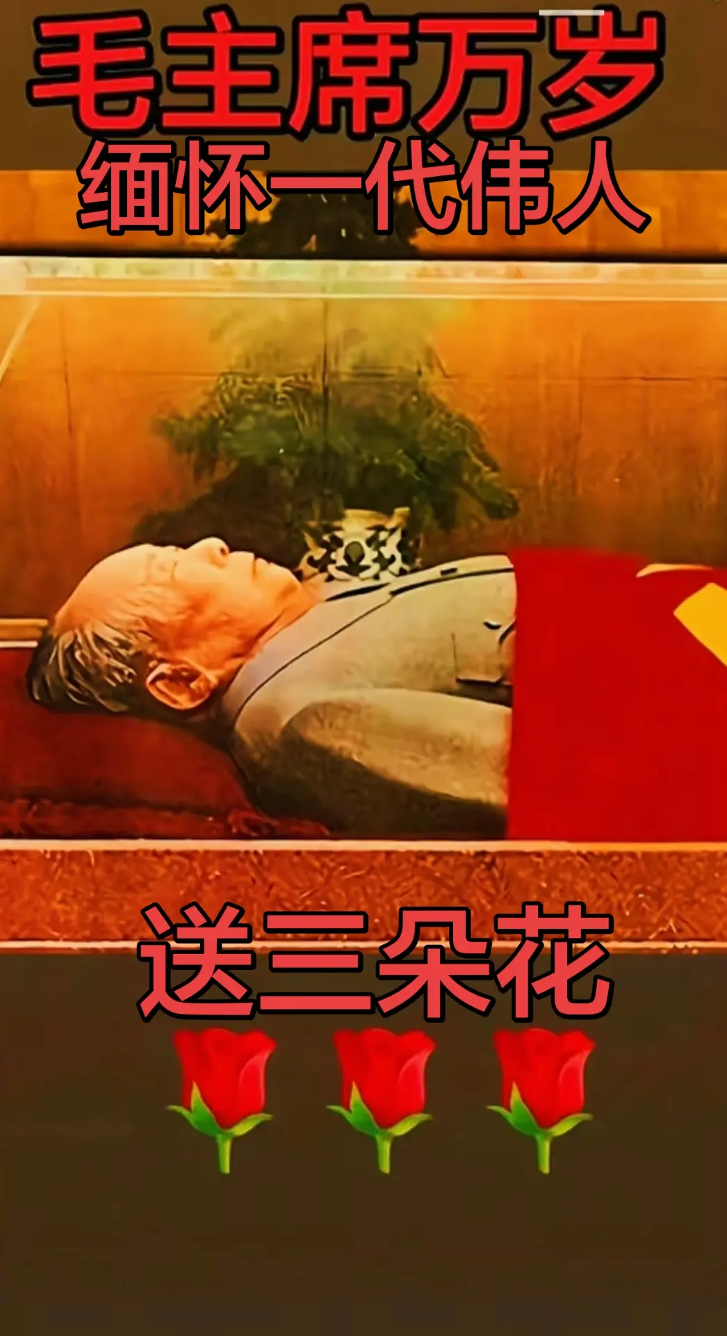 革命先烈一代伟人毛主席永远在人民的心中