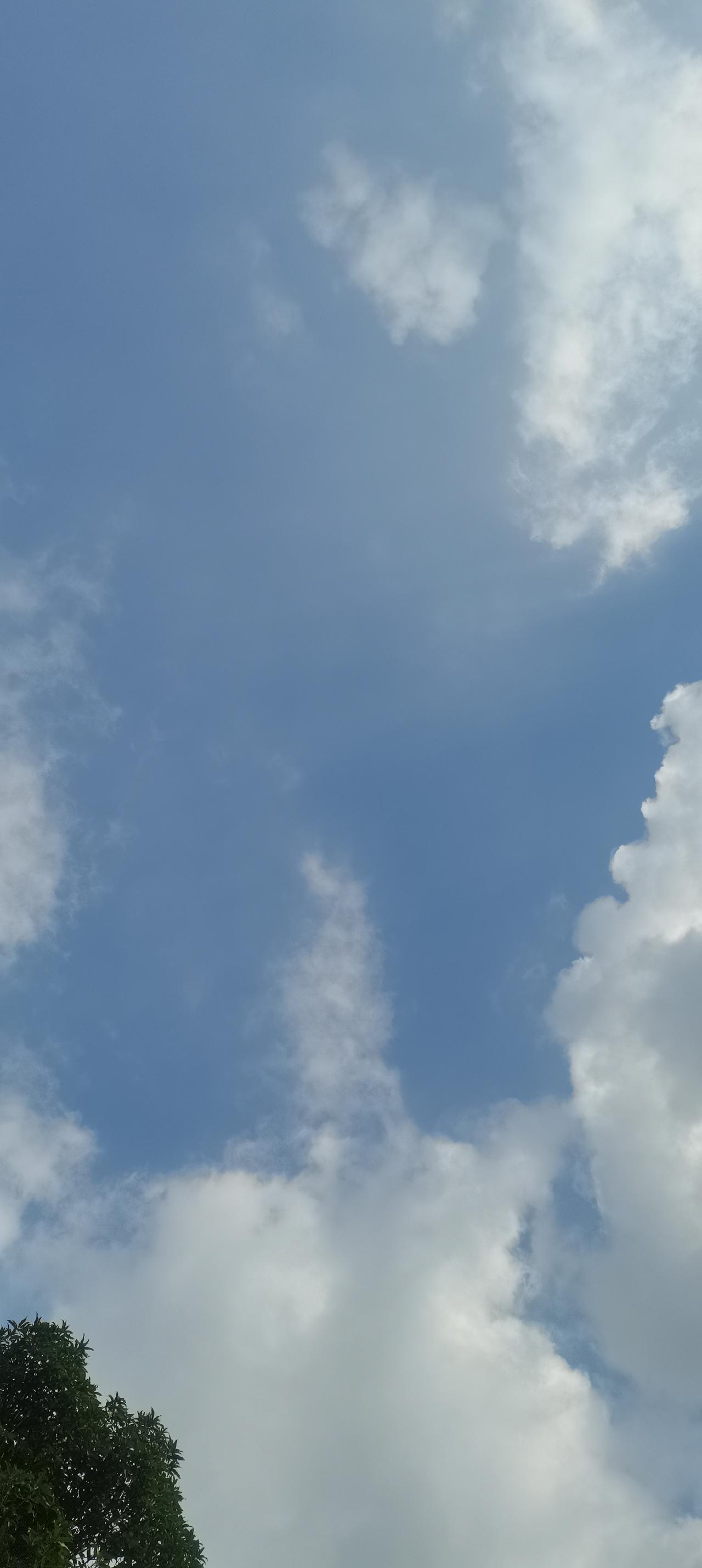 我喜欢看早间新闻，每天早上醒来第一时间就是拿起手机，点开头条刷上半个小时的新闻。