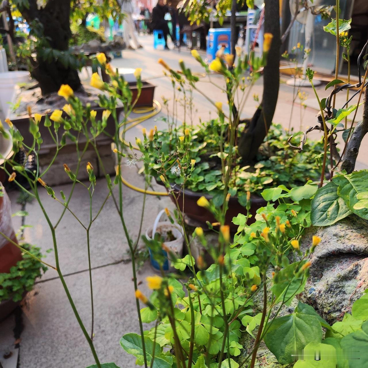 所以男人应该藏点私房钱，不然如何应急。