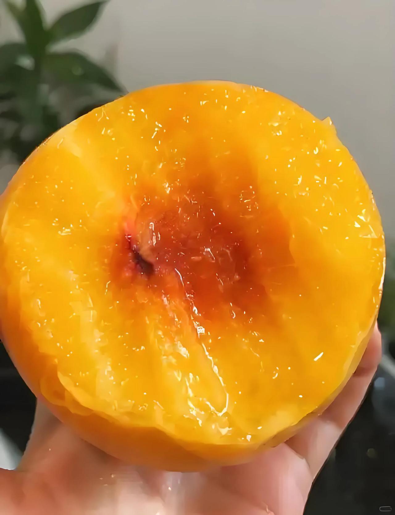 一早晨就吃了个黄桃，这是我妈妈买的，15块钱一斤，好吃是好吃😋，感觉有点贵。