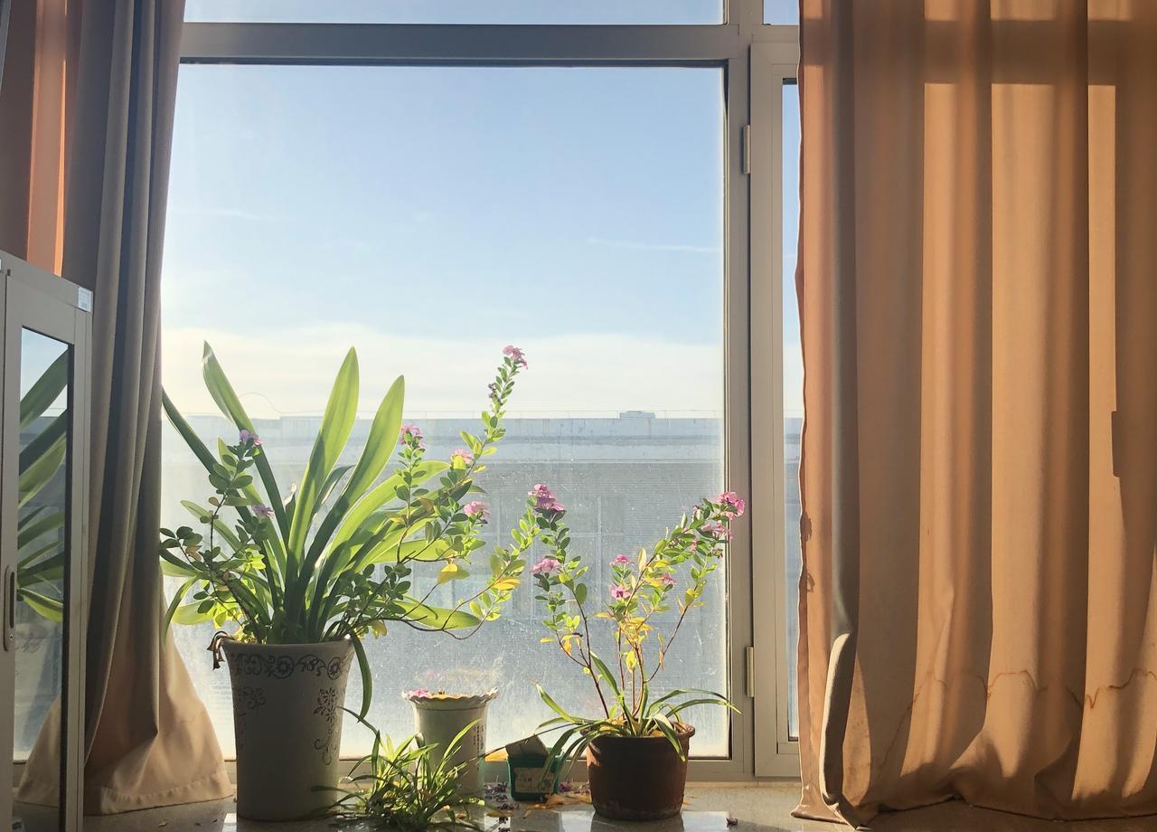 打扮在中老年女性的社会认知中扮演着意想不到的角色。
农村酒席的案例十分直观：一位