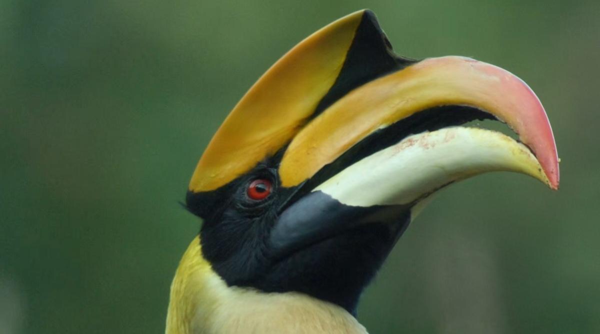 跟着董宇辉云游云南盈江大美河山