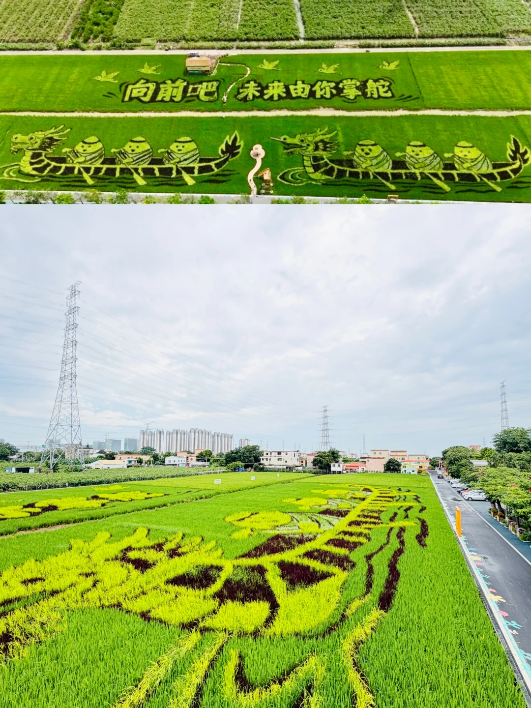 📍广州小众乡村，赏龙舟稻田画（游玩攻略）