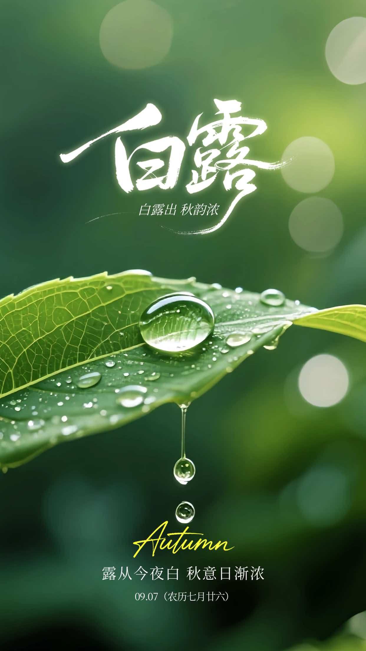 白露安康[玫瑰][玫瑰]