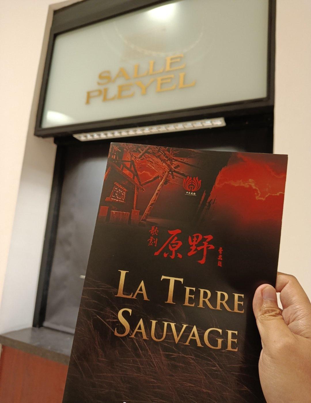 晚上在巴黎 Salle Pleyel 观看了歌剧《原野》。

《原野》改编自曹禺