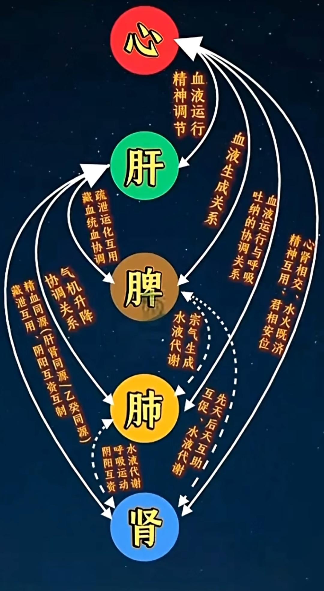 健康养生 每日分享 传统文化 正能量