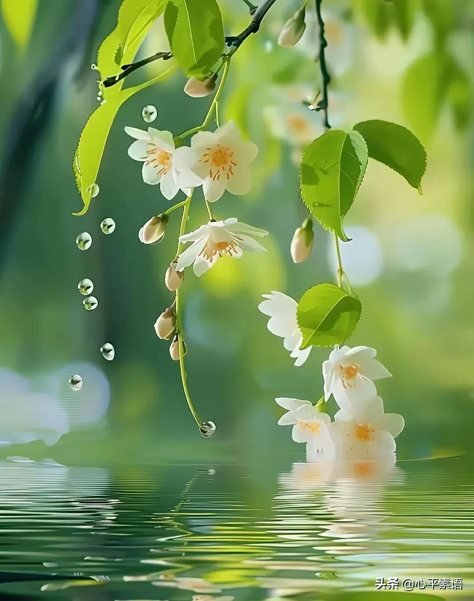 上班久了你会发现，
职场最傻的人 ，
就是只会干活、不会张嘴的人。

你加班加点