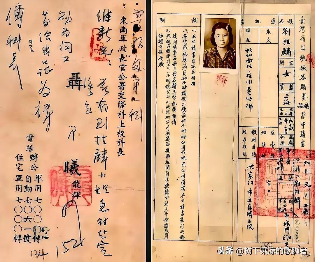 这些珍贵的档案是怎么找到的呀？太不容易了[泣不成声]