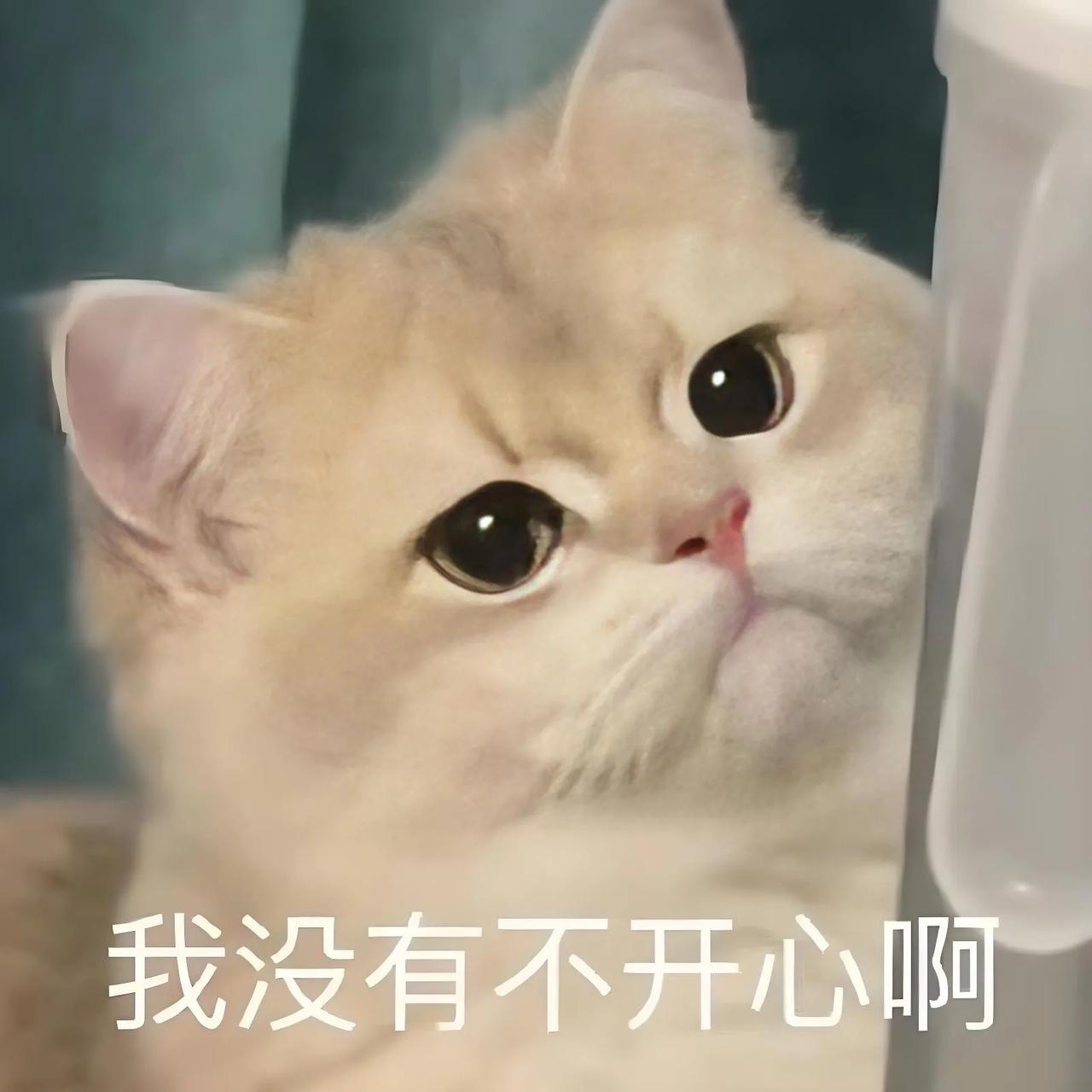 老了头发白了，你们都染发吗？我不染。老是自然现象，头发白了就白了呗，我不光不染发
